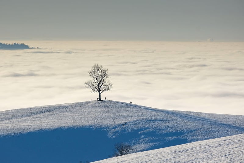 Ethereal Fabrics Landscape